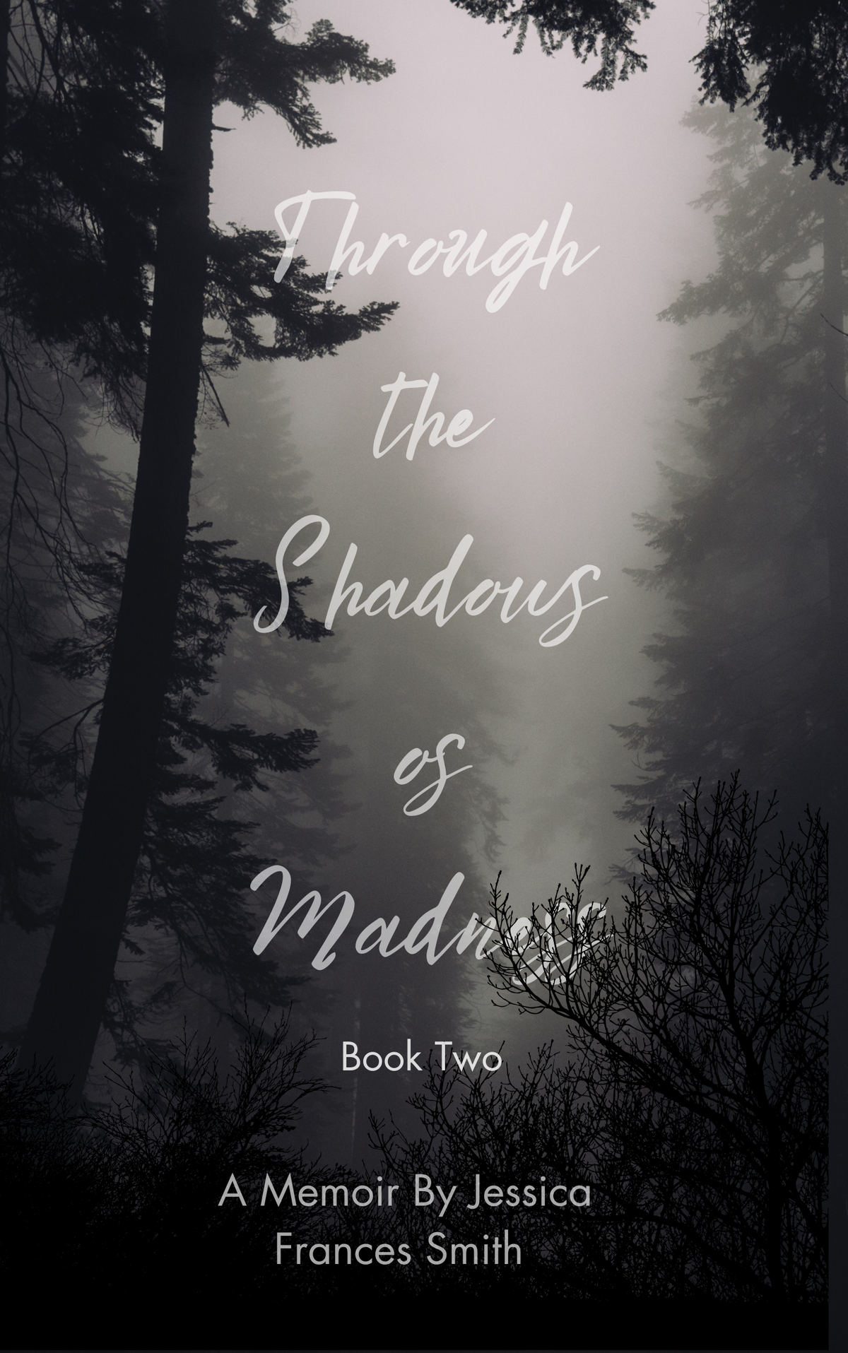Through The Shadows Of Madness