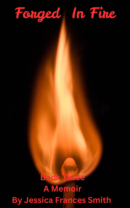 Forged In Fire Book Three